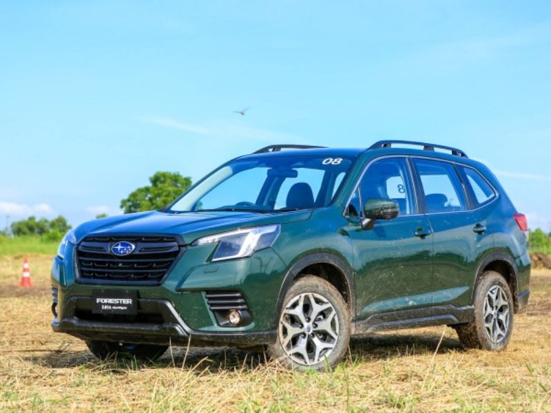 Xe Subaru Forester