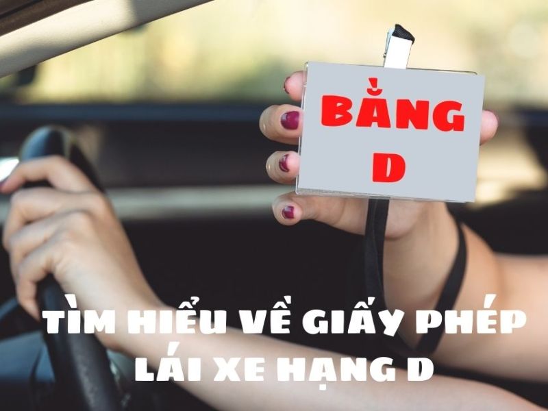 Bằng D Lái Xe Gì? Điều Kiện Và Loại Xe Được Phép Lái