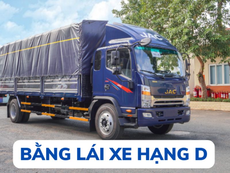 Những Câu Hỏi Thường Gặp Về Bằng D