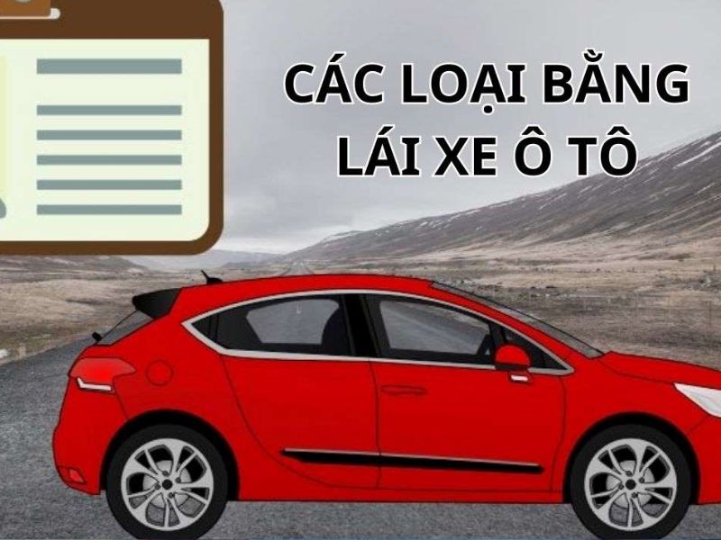 Các Loại Bằng Lái Xe Ô Tô