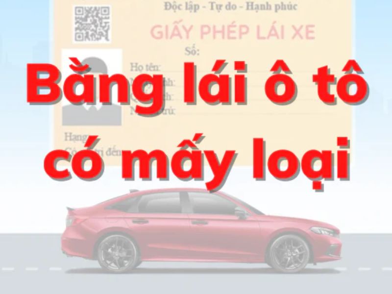 Các Loại Bằng Lái Xe Ô Tô Tại Việt Nam Và Công Dụng