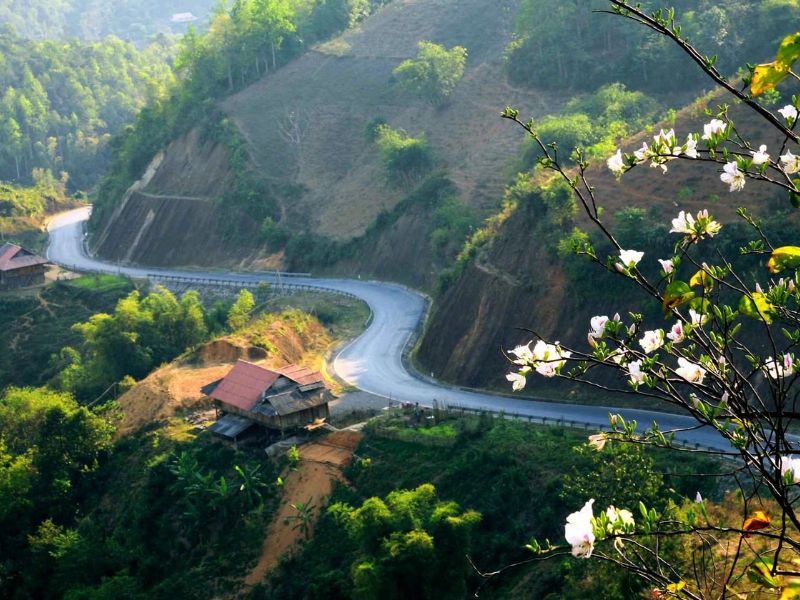 Đón trả linh hoạt theo yêu cầu