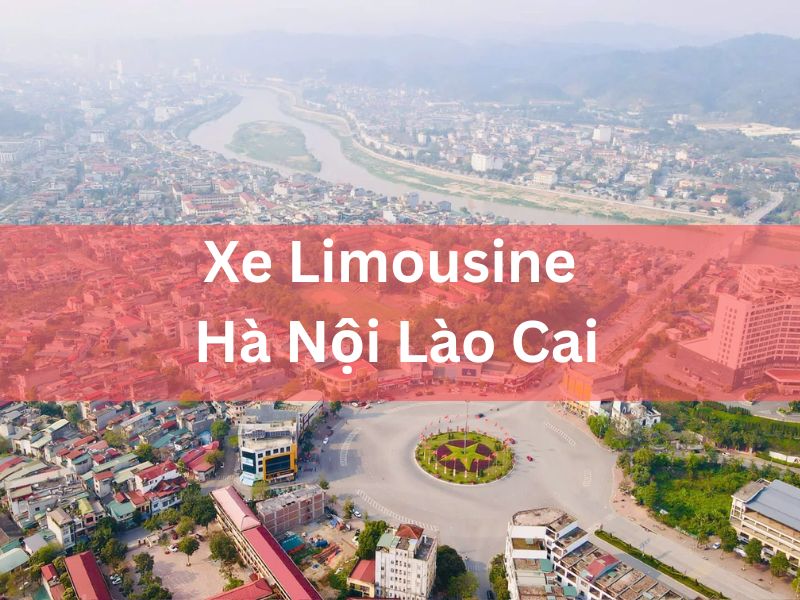 Thuê Xe Limousine Hà Nội Lào Cai Hợp Đồng Trọn Gói