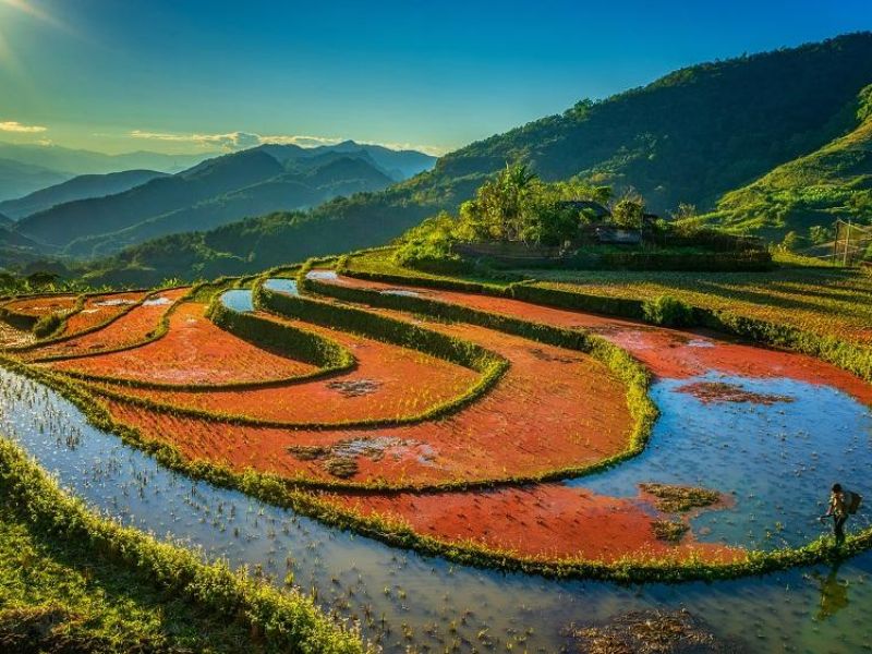 Đón trả khách linh hoạt tại các điểm thuận tiện