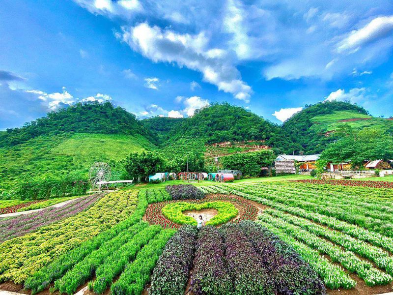 Điểm Đón – Trả Tùy Chọn Linh Hoạt Theo Yêu Cầu