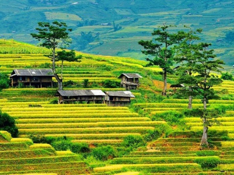 Vì Sao Nên Chọn Xe Limousine Hà Nội Mù Cang Chải Của Anh Quân Transport?