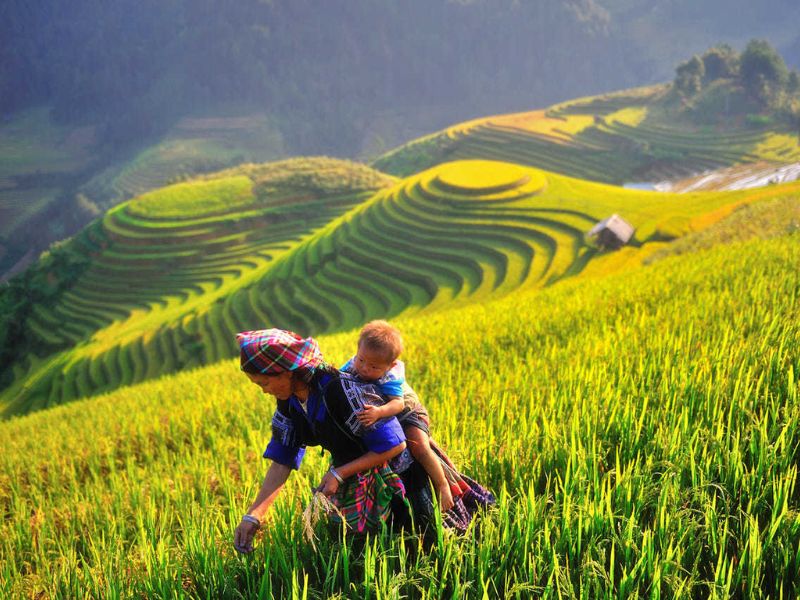 Địa Điểm Đón Trả Linh Hoạt Tại Hà Nội Và Mù Cang Chải