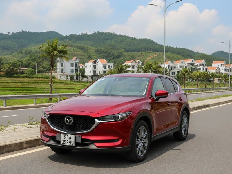 Giới Thiệu Tổng Quan Về Tỉnh Đắk Lắk