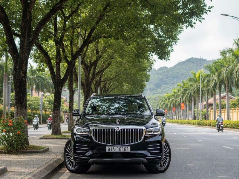 Cơ sở pháp lý quy định biển số xe Gia Lai