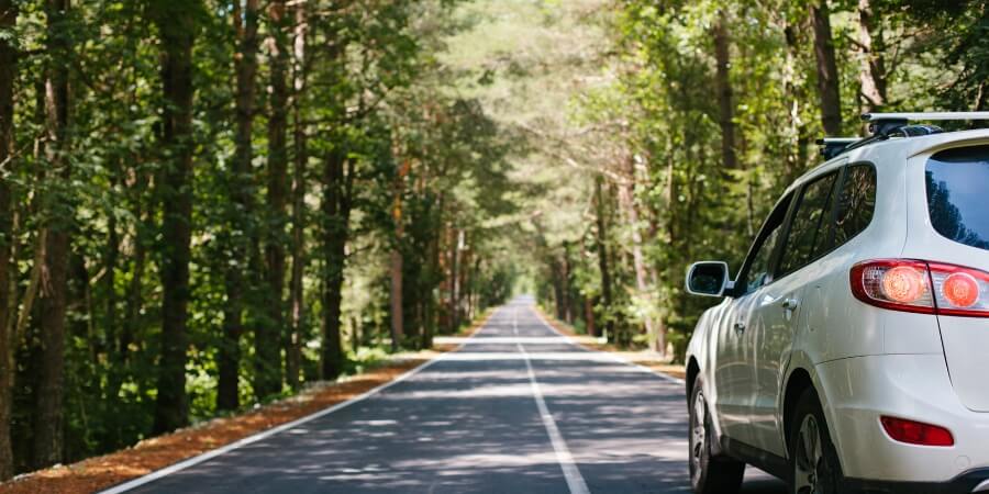 thuê xe tự lái cam ranh