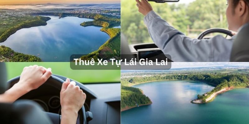 thuê xe tự lái Gia Lai