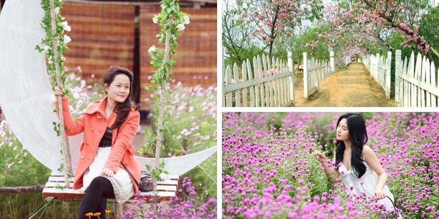 Kinh nghiệm đi vườn hoa Nhật Tân góc sống ảo