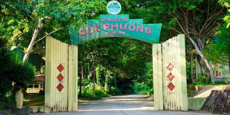 Kinh nghiệm đi rừng Cúc Phương nhiều hệ sinh thái đa dạng