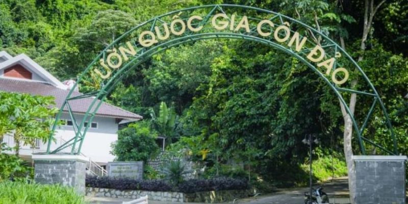 Kinh nghiệm đi vườn quốc gia Côn Đảo nhiều loài động vật quý hiếm