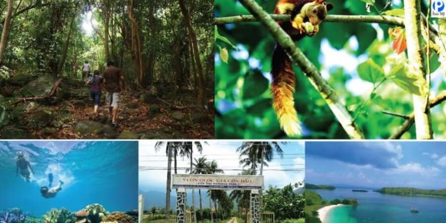 Kinh nghiệm đi vườn quốc gia Côn Đảo thời điểm đẹp để đi