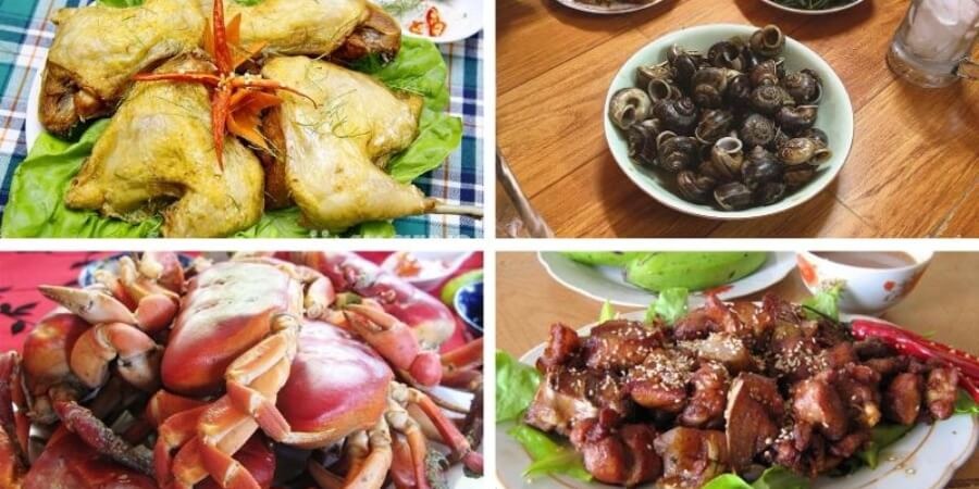 Kinh nghiệm đi rừng Cúc Phương đặc sản núi rừng