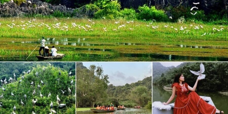 Kinh nghiệm đi Thung Nham Ninh Bình hệ sinh thái