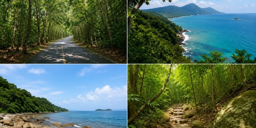 Kinh nghiệm đi vườn quốc gia Côn Đảo hoang sơ