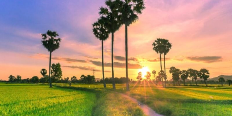 kinh nghiệm đi an giang