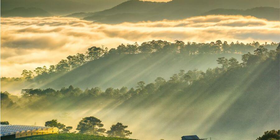kinh nghiệm đi bảo lộc