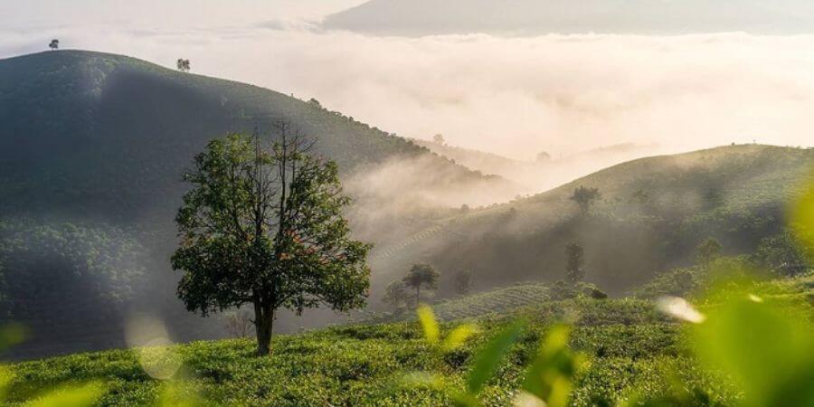 kinh nghiệm đi bảo lộc