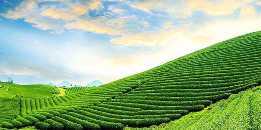 kinh nghiệm đi bảo lộc