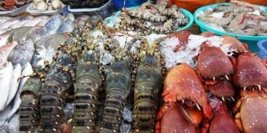 kinh nghiệm đi bình định