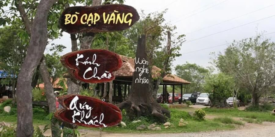 kinh nghiệm đi bò cạp vàng