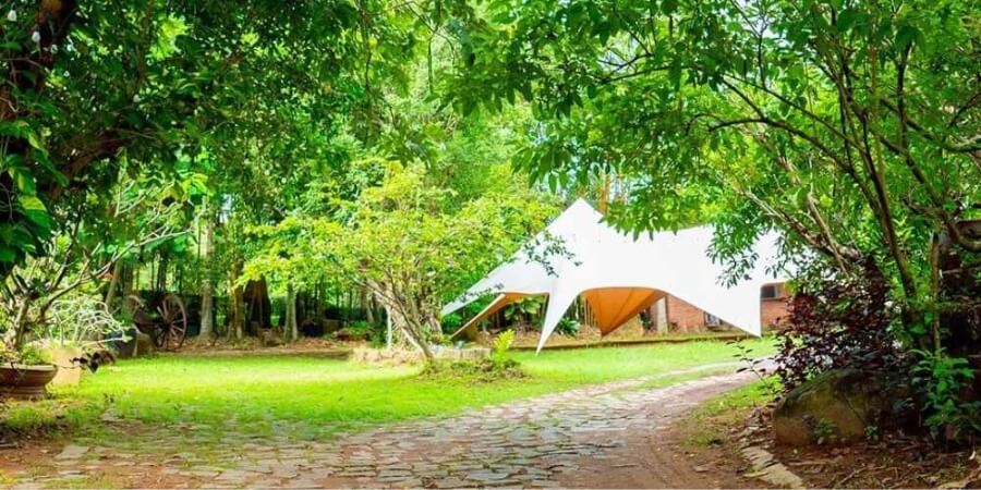 kinh nghiệm đi bò cạp vàng