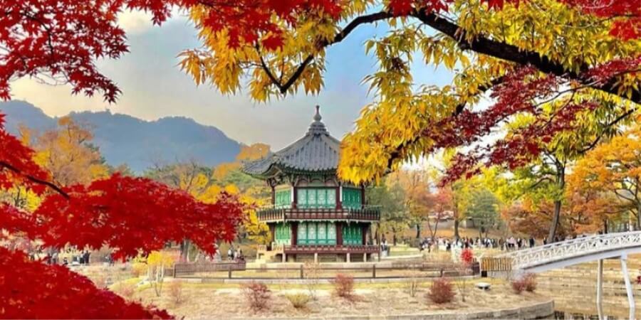 kinh nghiệm đi canada
