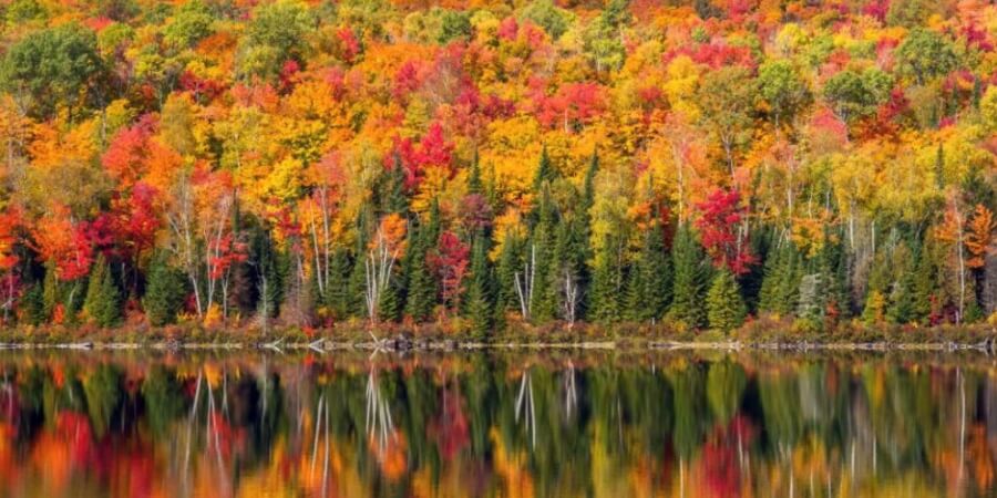 kinh nghiệm đi canada