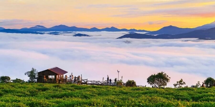 kinh nghiệm đi dalat