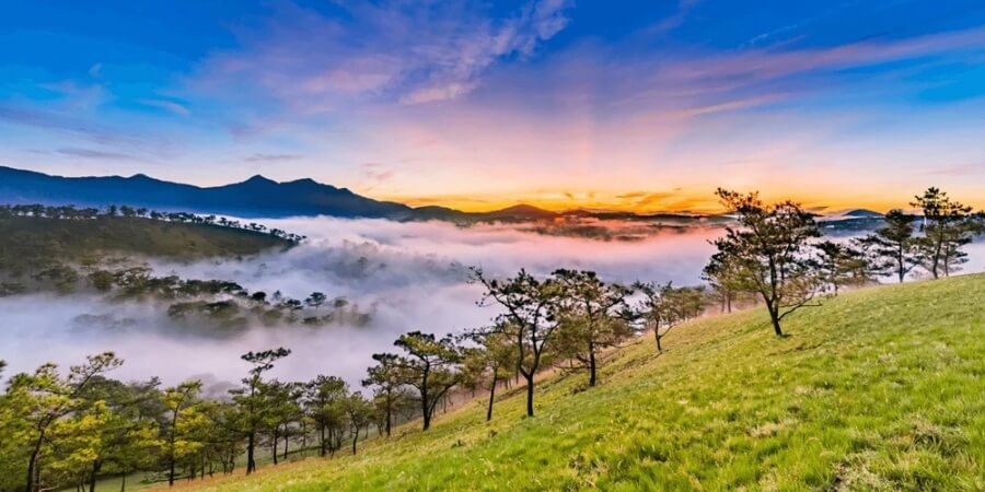kinh nghiệm đi dalat