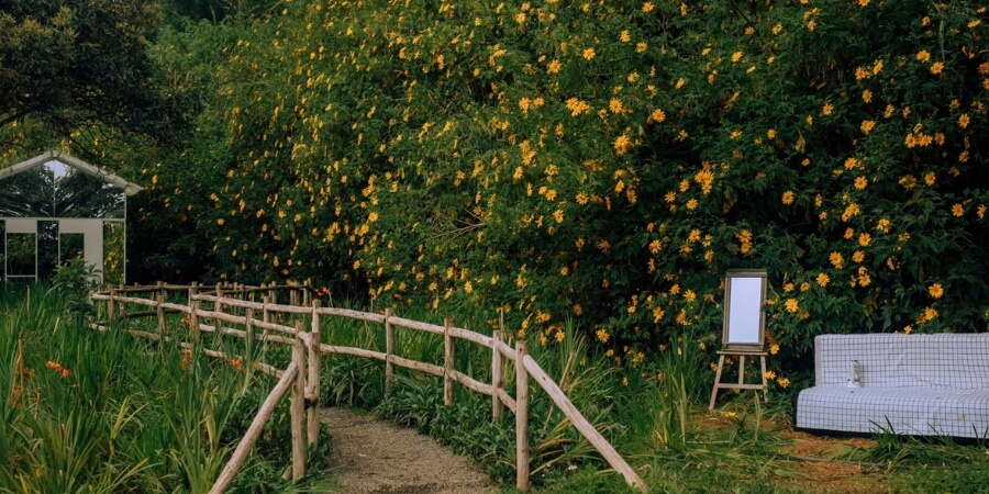 kinh nghiệm đi buôn mê thuột
