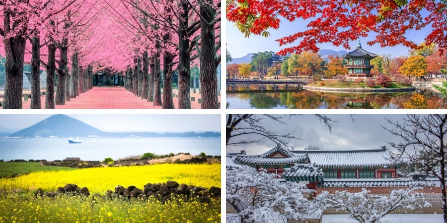 kinh nghiệm đi tour hàn quốc